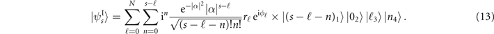 Equation (13)