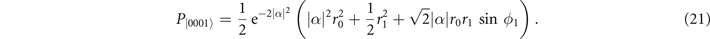 Equation (21)