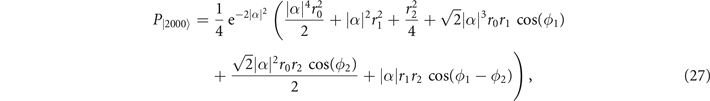 Equation (27)