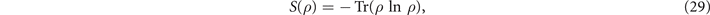 Equation (29)