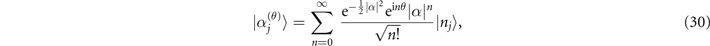 Equation (30)