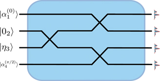 Figure 1. Refer to the following caption and surrounding text.