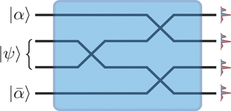 Figure 2. Refer to the following caption and surrounding text.
