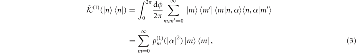 Equation (3)