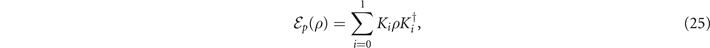 Equation (25)
