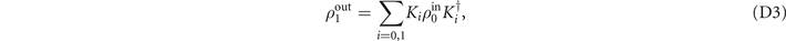 Equation (D3)