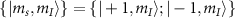 $\{\vert m_s, m_I\rangle\} = \{\vert +1, m_I\rangle;\vert -1, m_I\rangle\}$