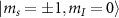 $\vert m_s = \pm 1,m_I = 0\rangle$