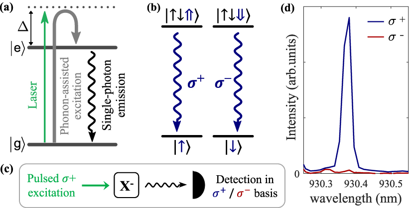 Probing the dynamics and coherence of a semiconductor hole spin via ...
