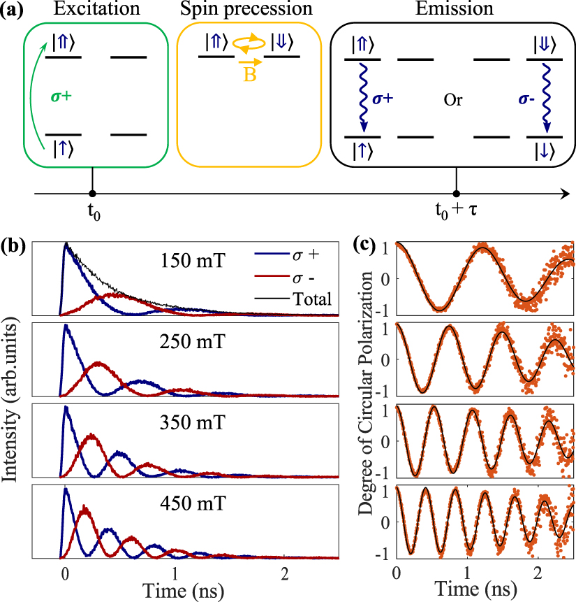 Probing the dynamics and coherence of a semiconductor hole spin via ...