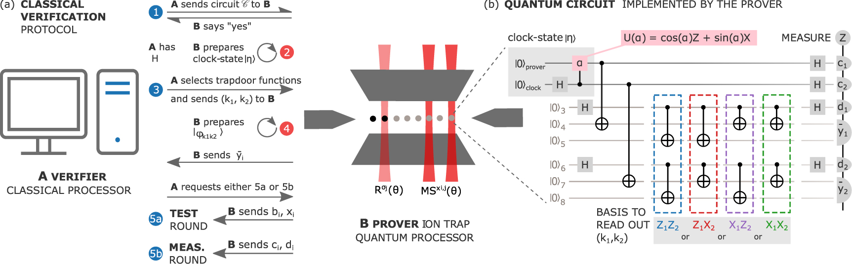 Towards experimental classical verification of quantum computation ...