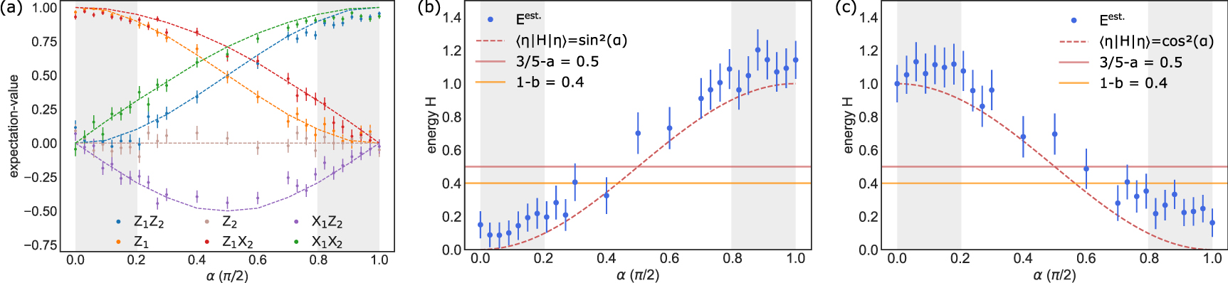 Towards experimental classical verification of quantum computation ...