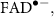 $\mathrm{FAD}^{\bullet-},$