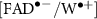 $[\mathrm{FAD}^{\bullet-}/ \mathrm{W}^{\bullet +}]$