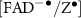 $[\mathrm{FAD}^{-\bullet}/ \mathrm{Z}^{\bullet}]$