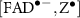 $[\mathrm{FAD}^{\bullet-}, \mathrm{Z}^{\bullet}]$