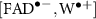 $[\mathrm{FAD}^{\bullet-}, \mathrm{W}^{\bullet +}]$