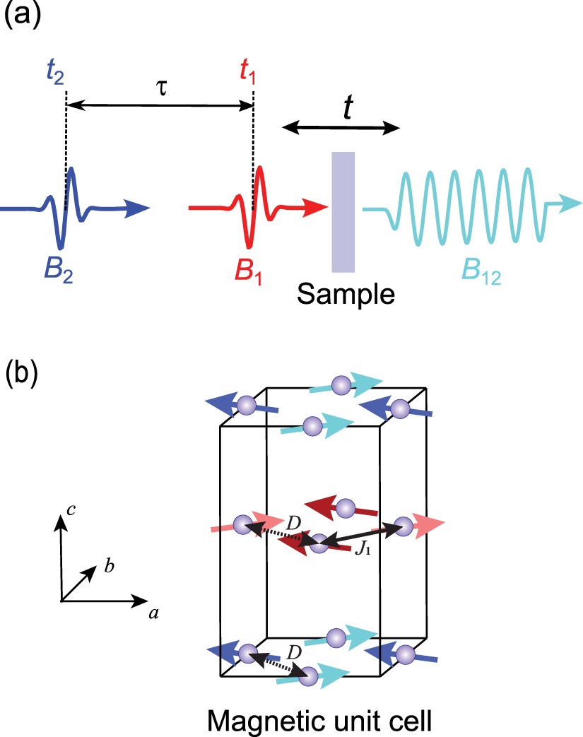 Two-dimensional coherent spectrum of high-spin models via a quantum ...