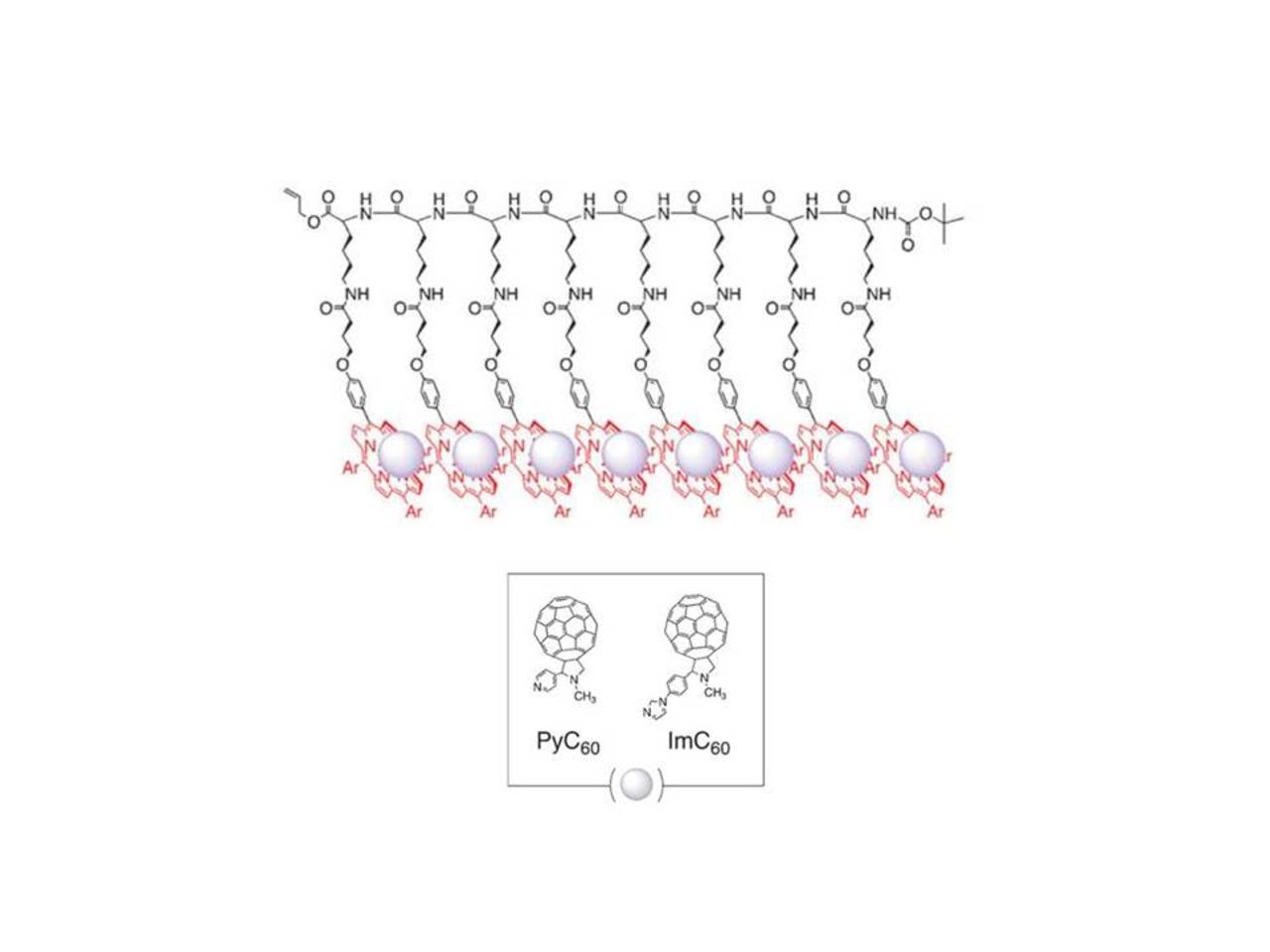 (Invited) Polypeptides/C60 Complexes and Their Applications - IOPscience