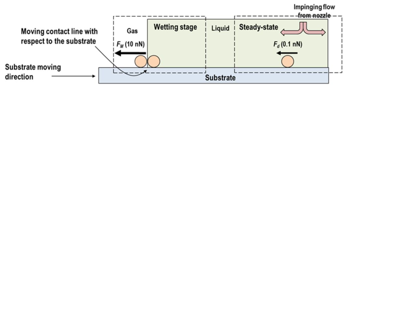 Particle Removal in Wet Wafer Cleaning Processes - IOPscience