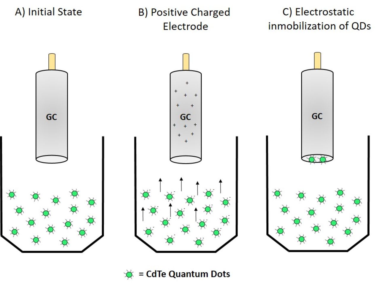 Study about Electrostatic Deposition of CdTe Quantum Dots on Glassy ...
