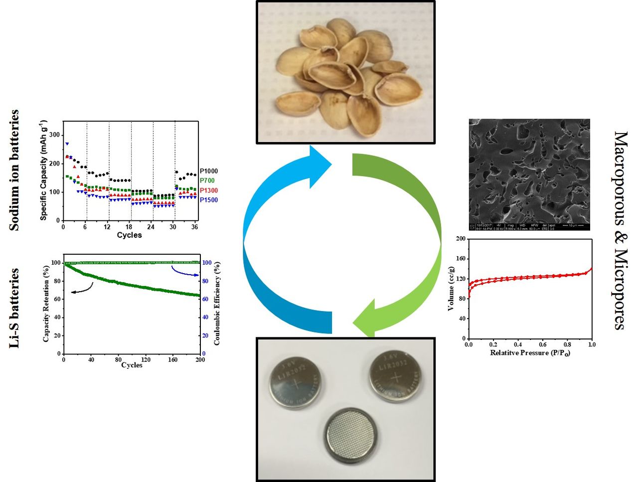 Macro- and Micro-Porous Biomass Derived Carbon for Various Energy ...