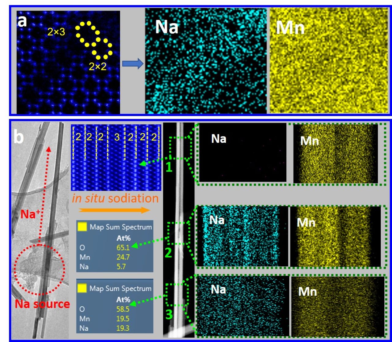 Tunnel Structural Heterogeneity in MnO2 Polymorphs: Origins and Effect ...