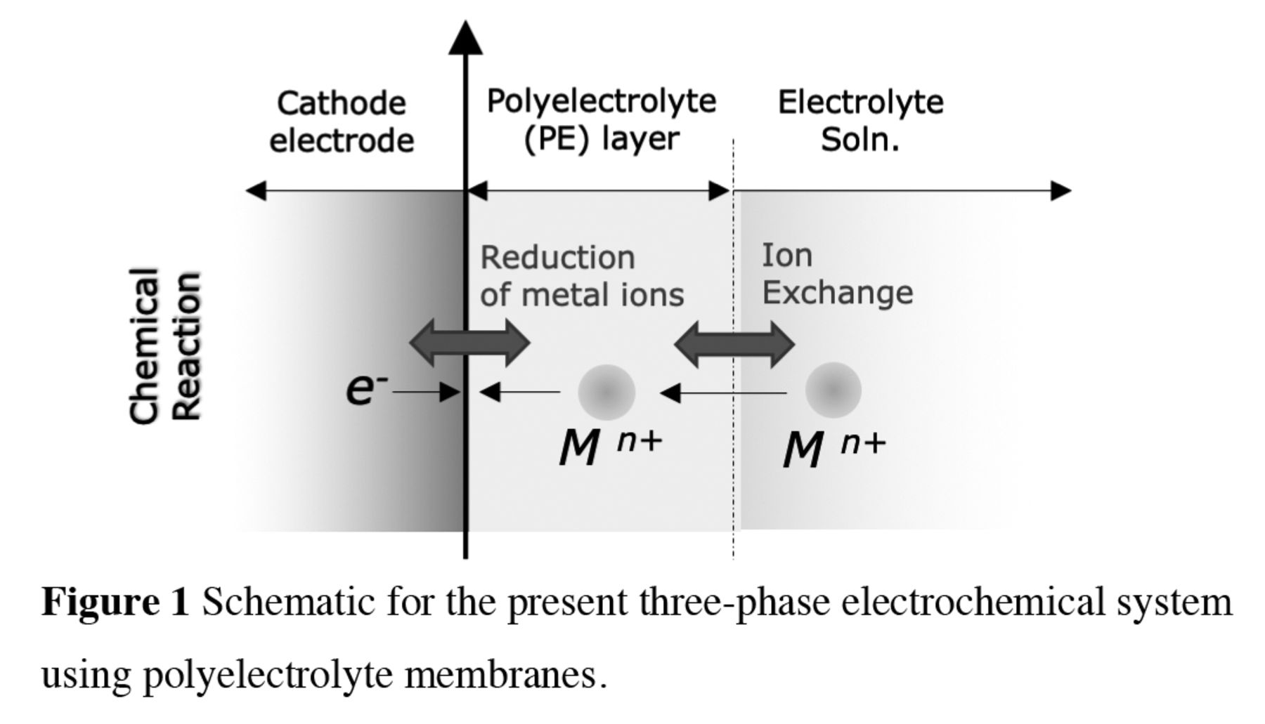 Interfacial Process for Electrochemical System Using Polyelectrolyte ...