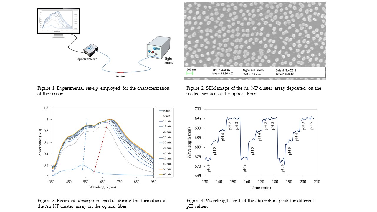 Self-Assembled Gold Nanoparticle Cluster Array Onto Seeded Optical ...