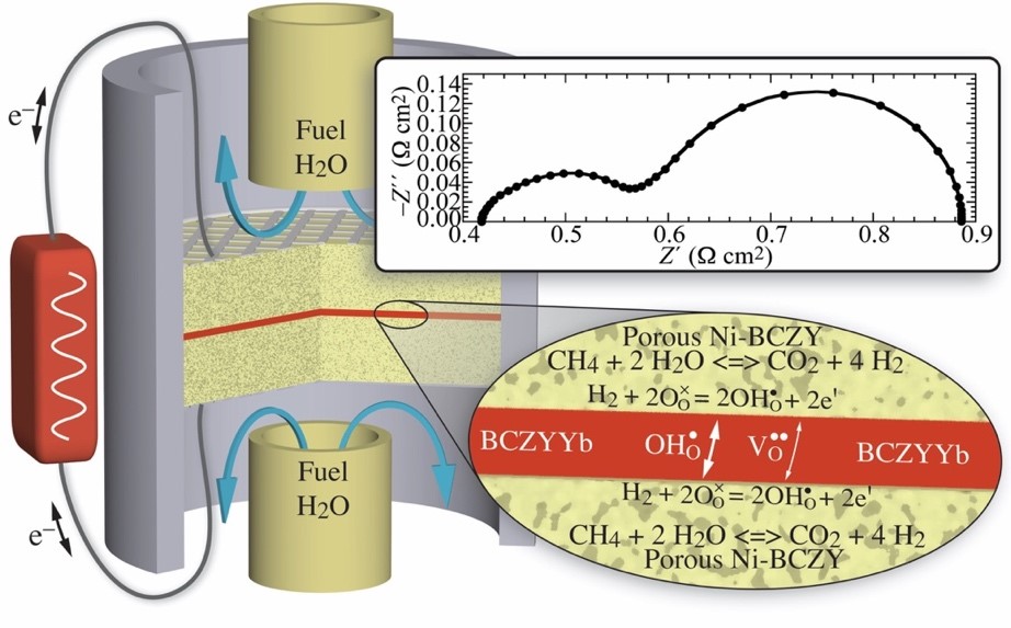 Interpreting Electrochemical Impedance Spectra with Physical Models of
