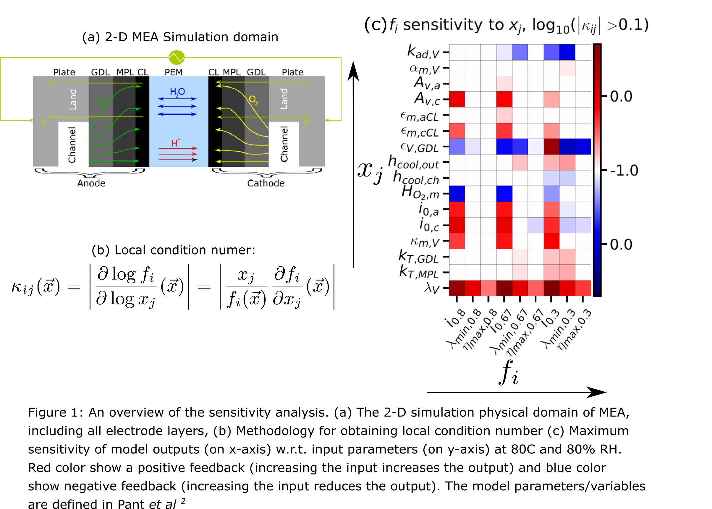 Sensitivity Analysis and Effective Parametrization of PEM Fuel Cell ...