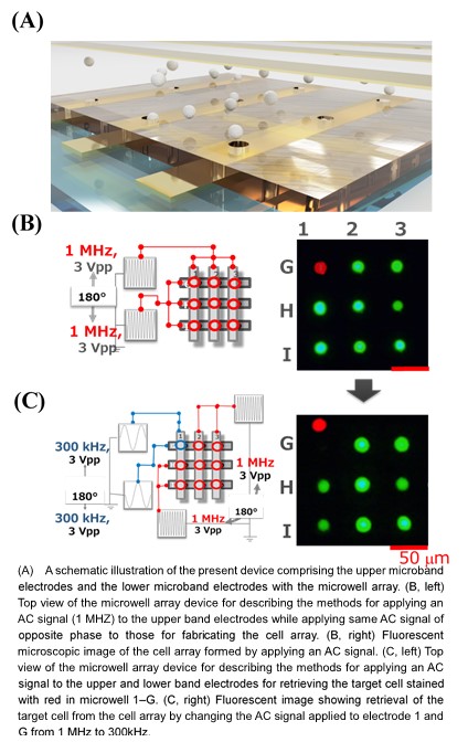 Selective Trapping and Retrieval of Single Cells Using Microwell Array ...