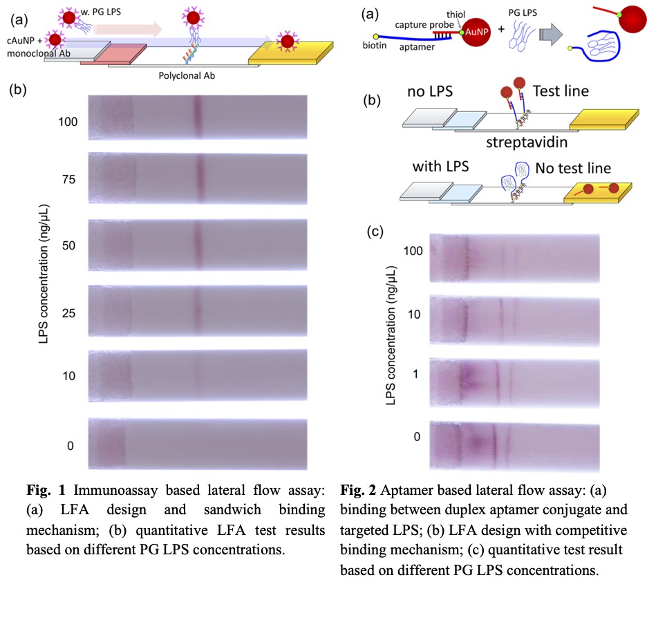 Development of Point-of-Care Lateral Flow Assay Devices for Salivary ...