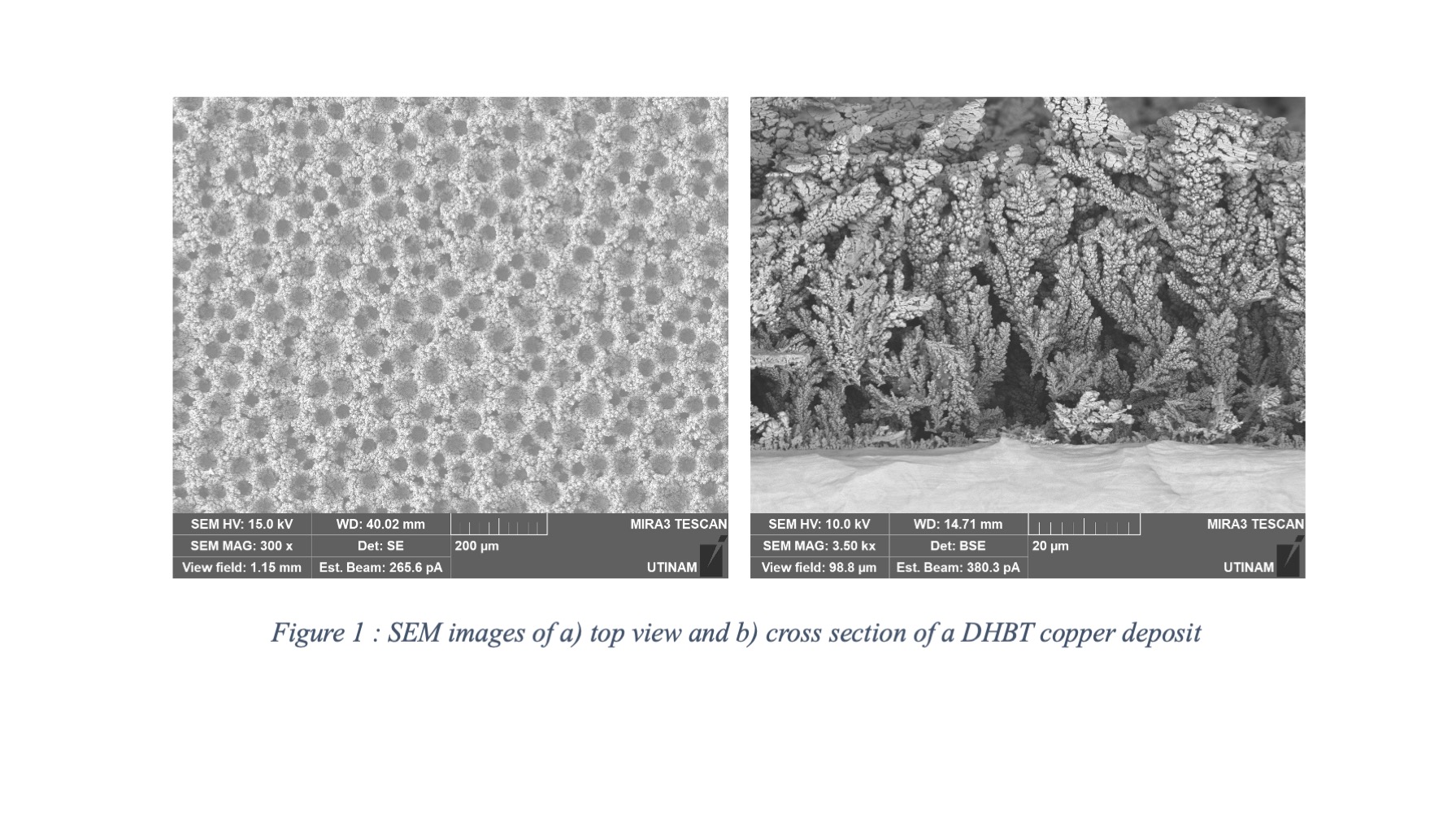 Porous Copper Electroforming By Dynamic Hydrogen Bubble Template Using