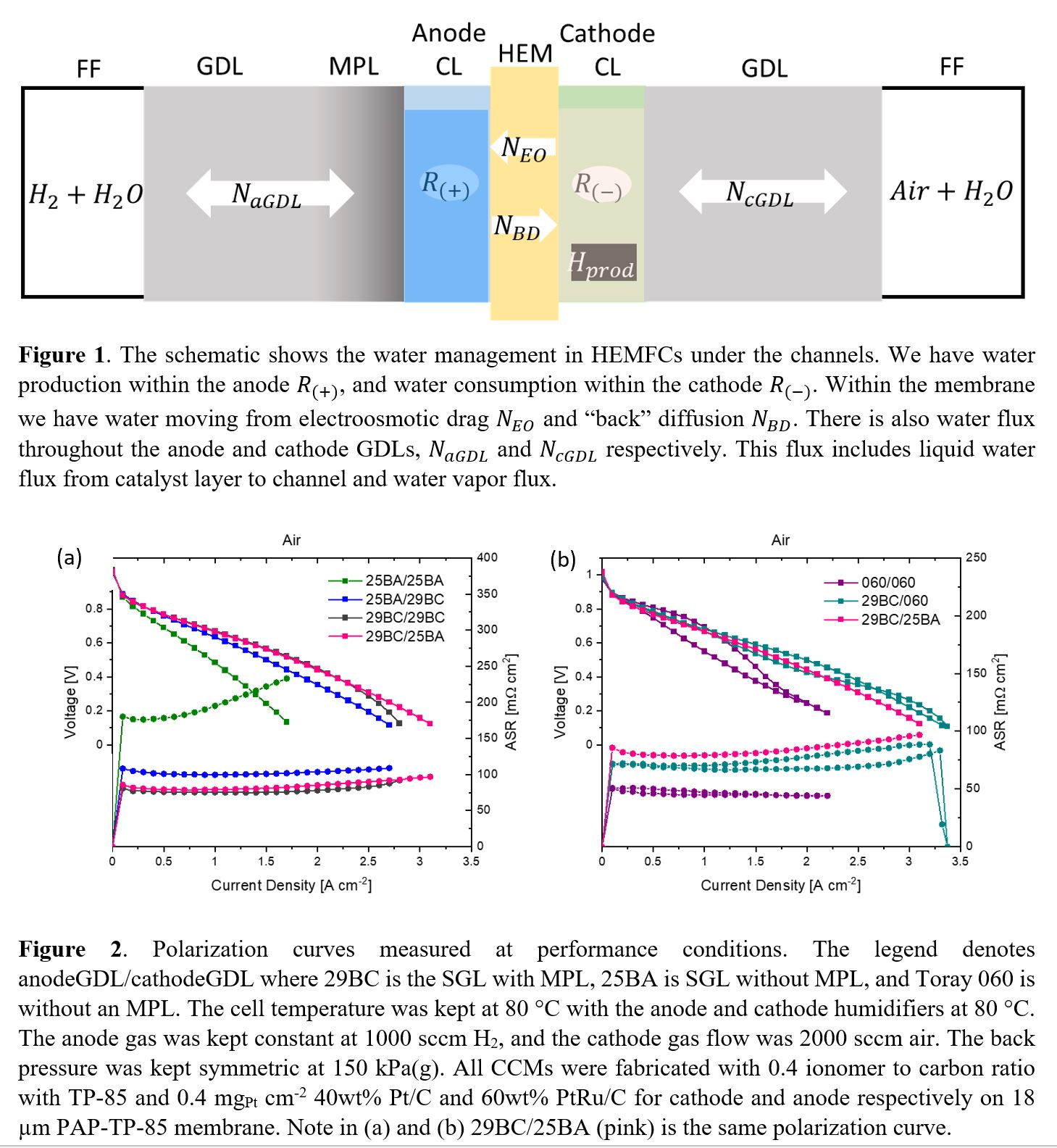 Investigation of Gas Diffusion Layer and Microporous Layer Effect on ...