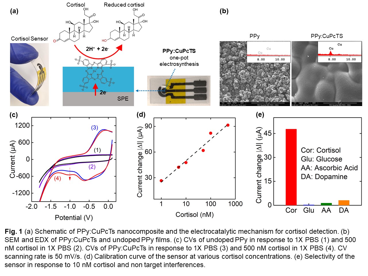 Real-Time Cortisol Detection Using Electrocatalytic Polymer-Based ...