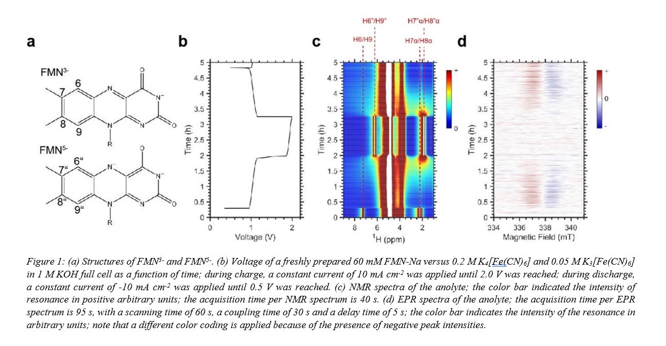 Understanding Redox Reaction Mechanisms of a Flavin Mononucleotide By ...
