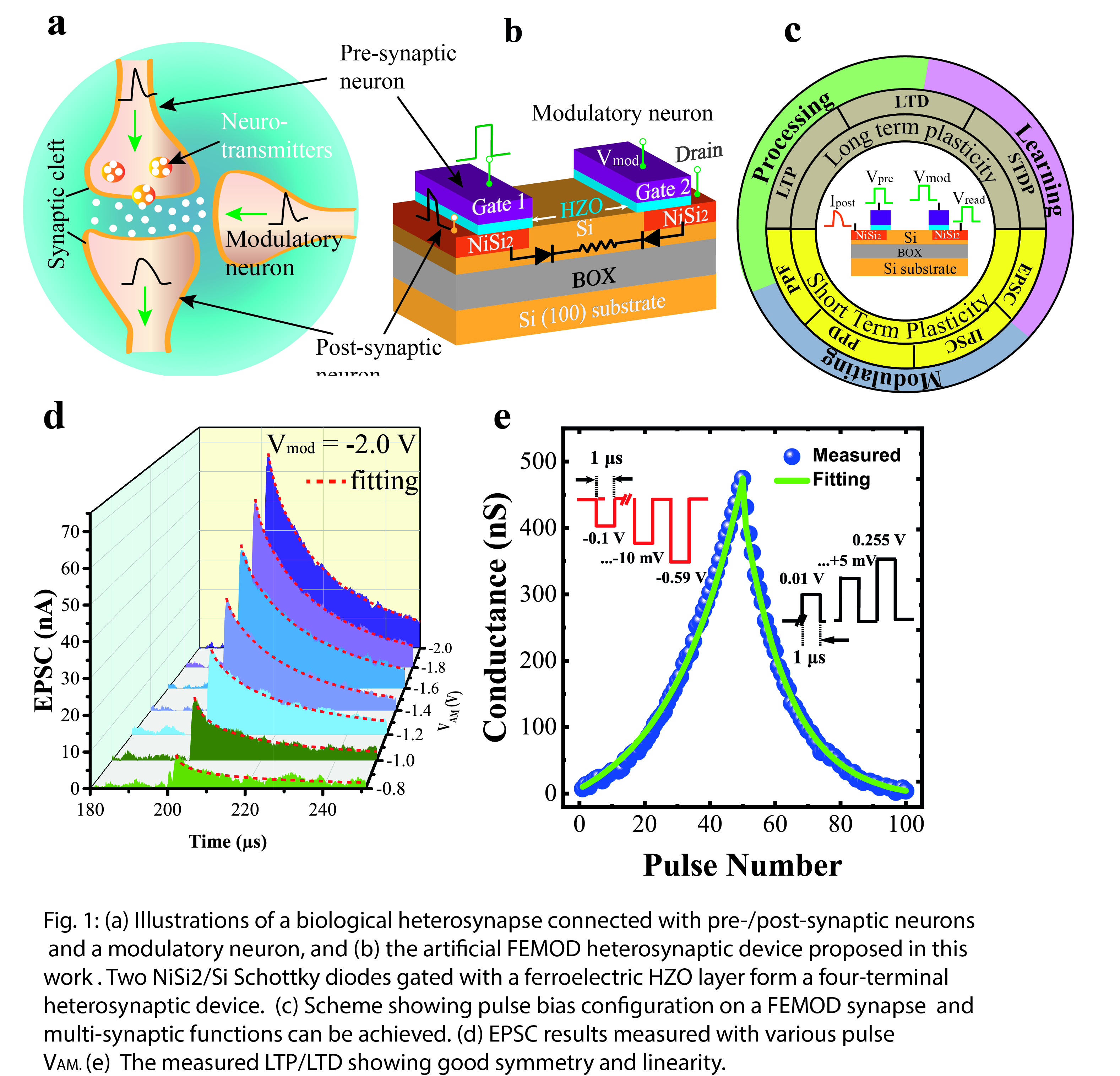 Ferroelectric Devices for Neuromorphic Computing - IOPscience