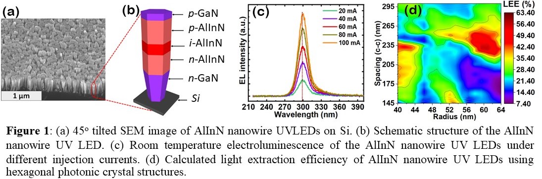 (Invited) Enhanced Efficiency of AlInN Nanowire Ultraviolet Light ...