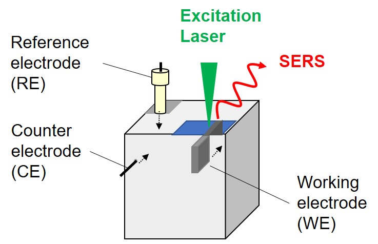 In Situ Surface-Enhanced Raman Spectroscopy Analysis for Estimation of ...
