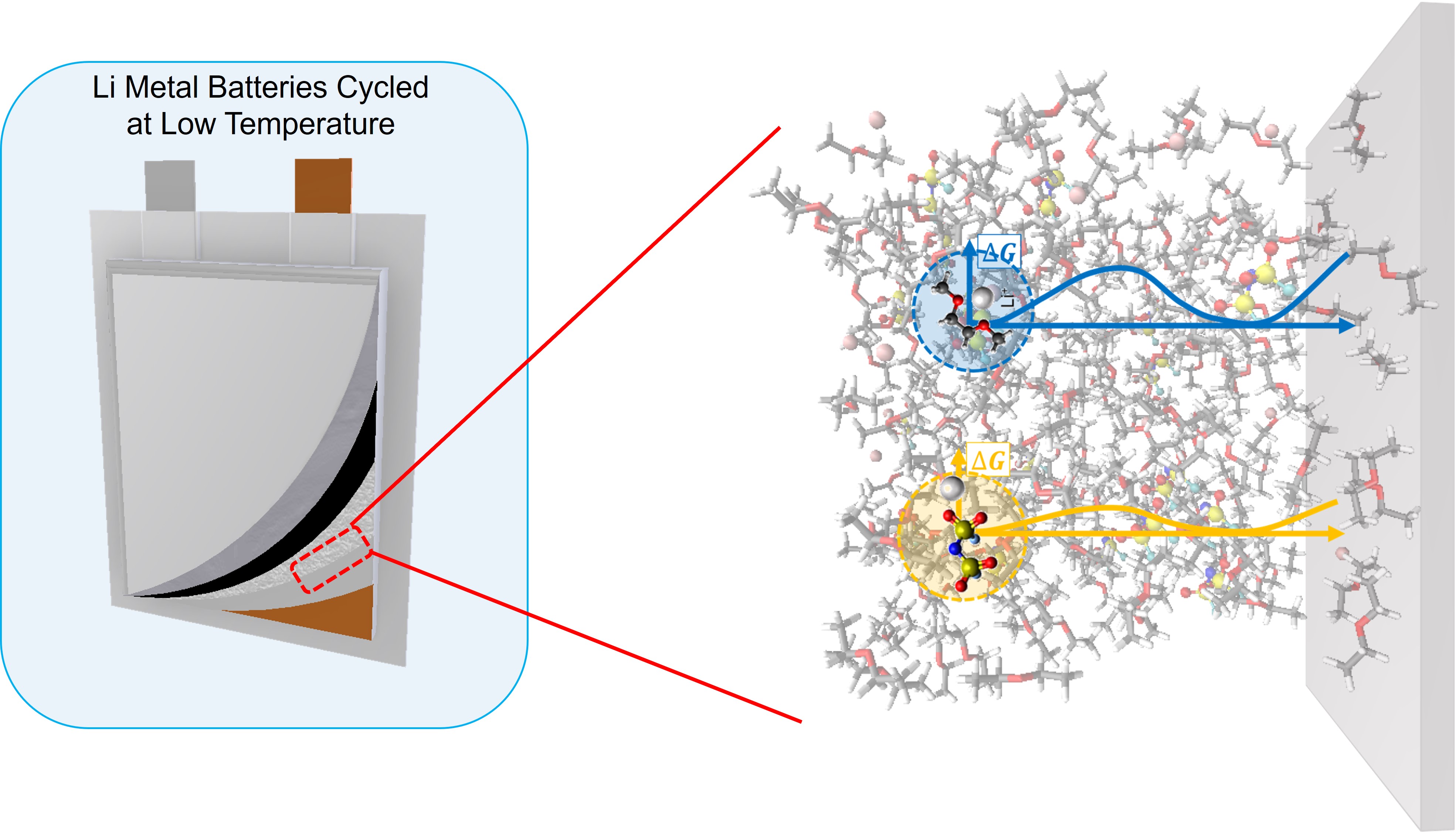 Battery Interphase Impact of Electrolyte Chemistry and Solvation on Interphasial Ion ...