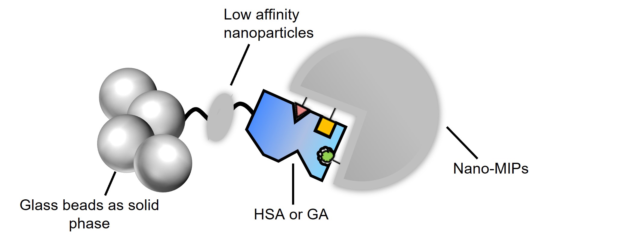Development of Molecularly Imprinted Polymer Nanoparticles with High ...