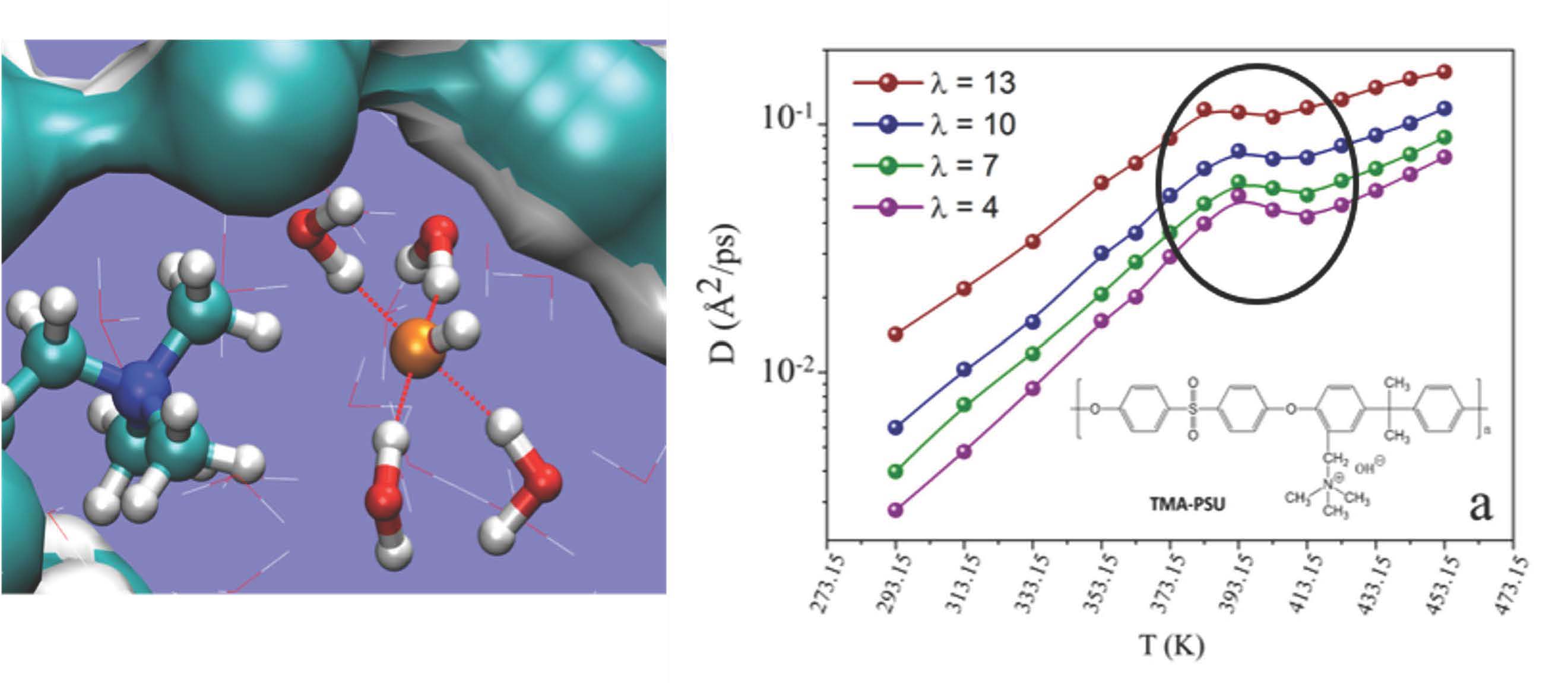 (Invited) First-Principles Molecular Dynamics Investigations of Proton ...