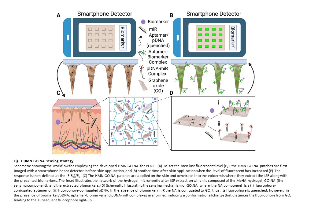 A Universal Hydrogel Microneedle for on-Site Detection of Small ...