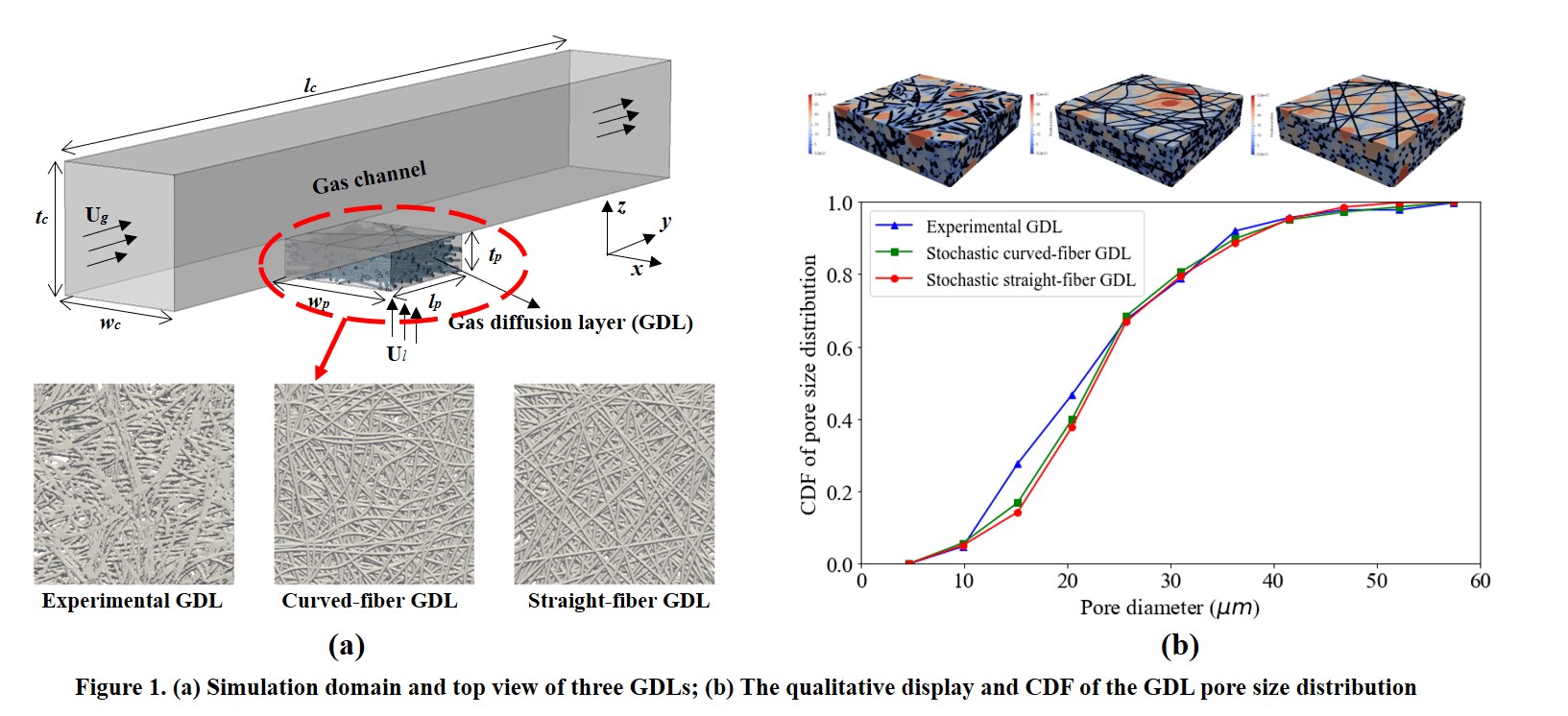 Numerical Reconstruction of Proton Exchange Membrane Fuel Cell Gas ...