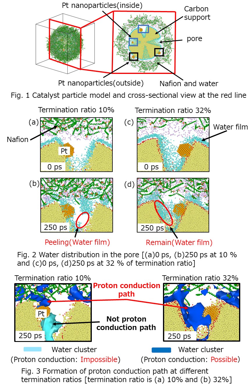 Relationship between Surface States of Carbon Support and Electrode ...