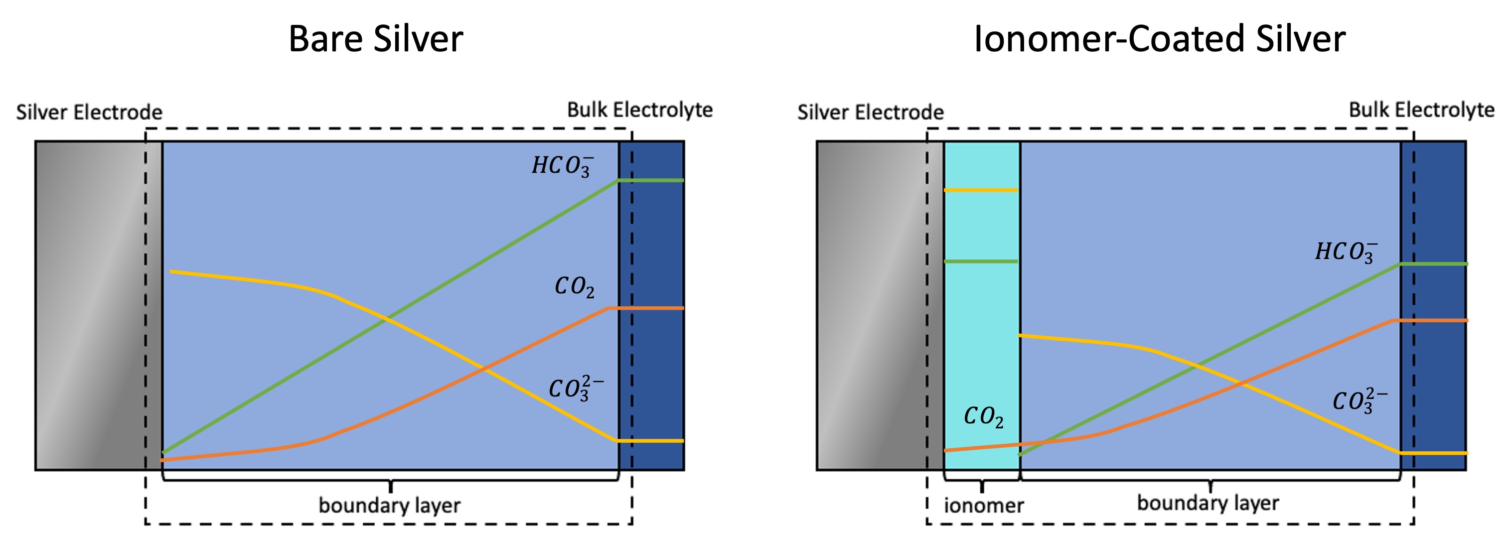 Modeling Bicarbonate Kinetics on Silver Catalysts for CO2 Electrolysis ...