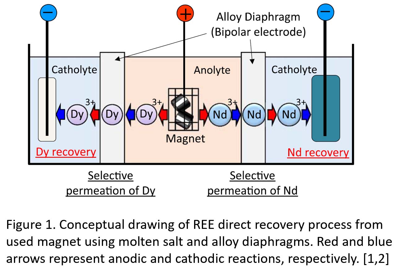 Selective Recovery of Rare Earth Elements from Waste Magnets by Molten ...