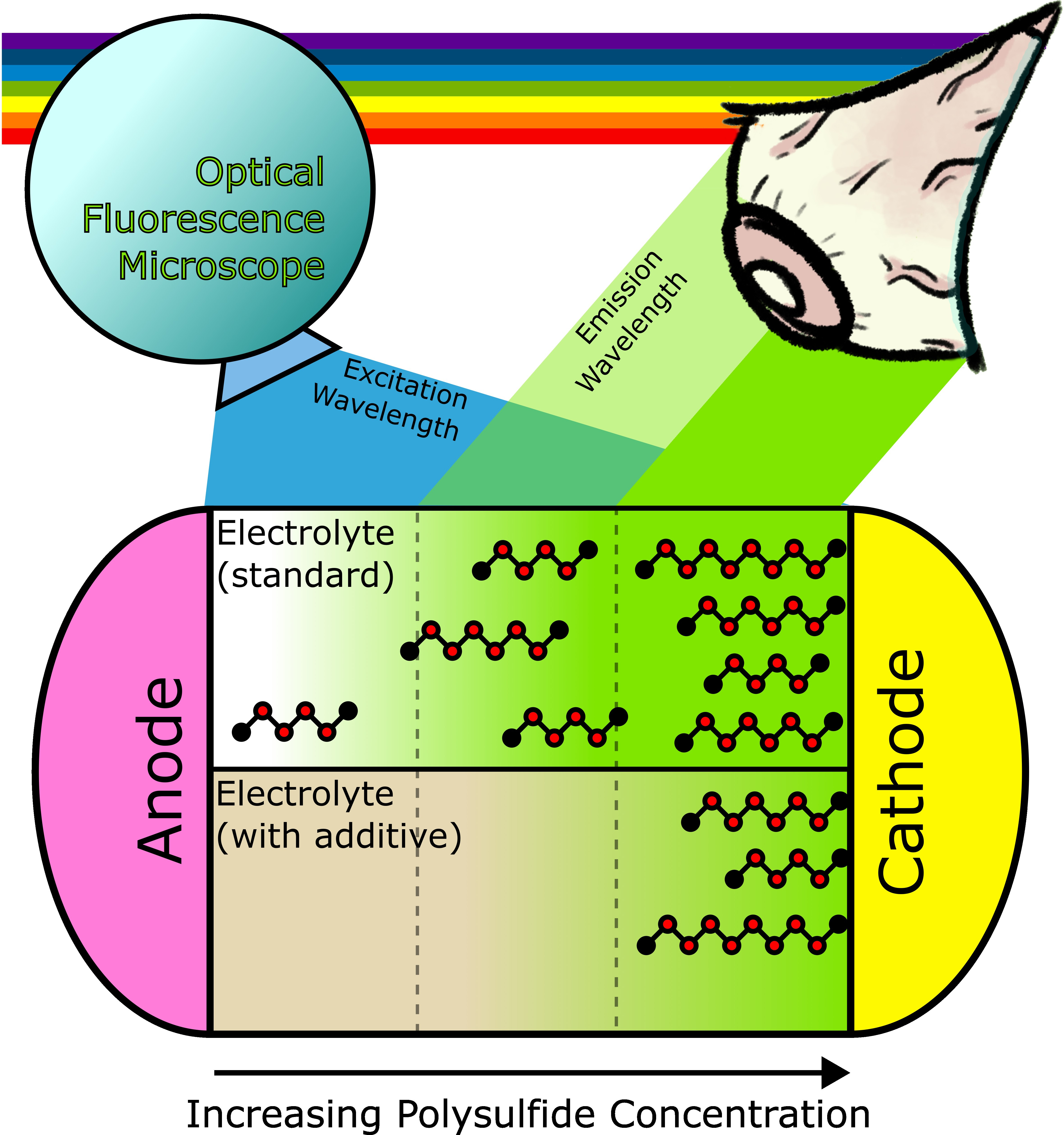 Operando Optical Microscopy Shining Light on New Additives for Lithium Sulfur Batteries through ...