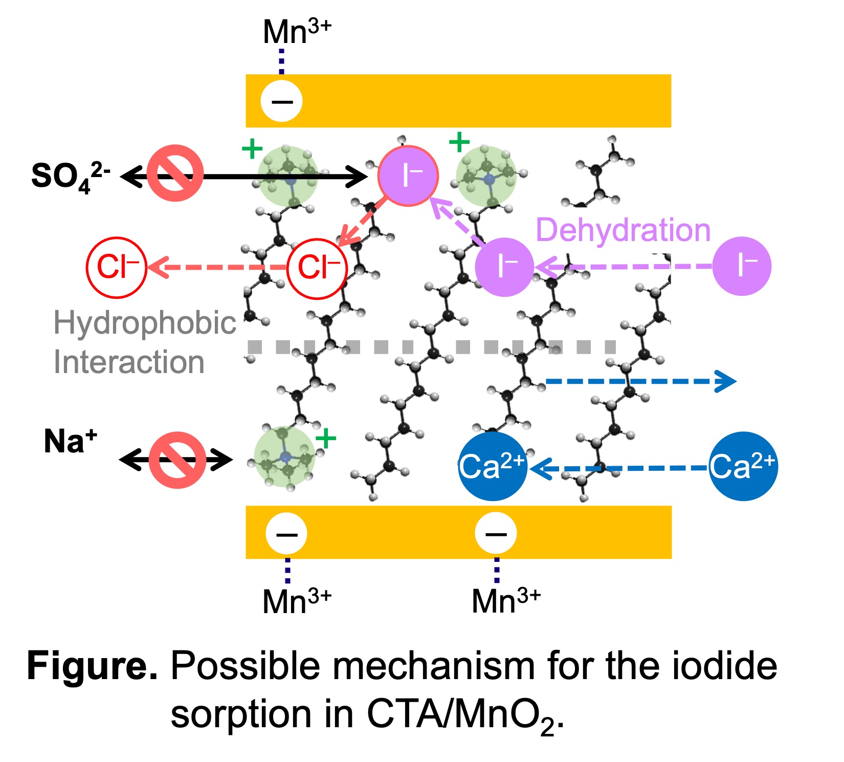 Mno2 Structure Unit Cell Electrochemical Formation of Layered Organo-MnO2 and Its Application to ...